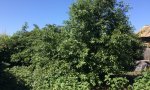 Фотография объекта