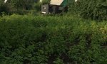 Фотография объекта