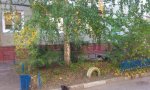 Фотография объекта