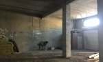 Фотография объекта