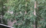 Фотография объекта