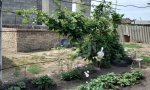 Фотография объекта