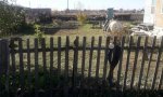 Фотография объекта