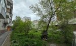 Фотография объекта