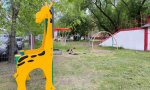Фотография объекта