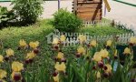 Фотография объекта