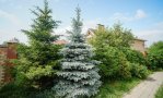 Фотография объекта