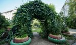 Фотография объекта