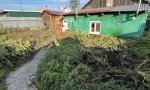 Фотография объекта