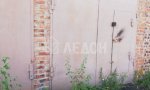Фотография объекта
