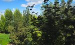 Фотография объекта
