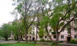 Фотография объекта